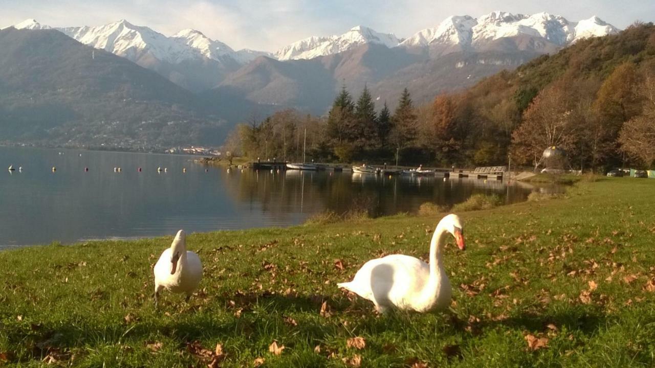 Al Molin B&B Colico Dış mekan fotoğraf